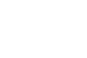 Boss