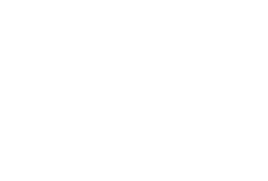 Selected Femme