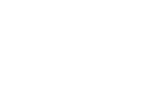 Tom Tailor